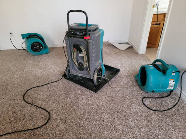 Best 24/7 water damage repair  in Malden, MO