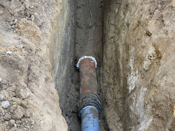 Best Basement water damage restoration  in Malden, MO