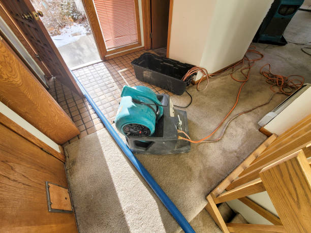 Best Flood damage cleanup  in Malden, MO