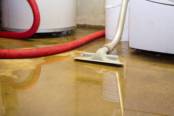 Best Commercial water damage restoration  in Malden, MO