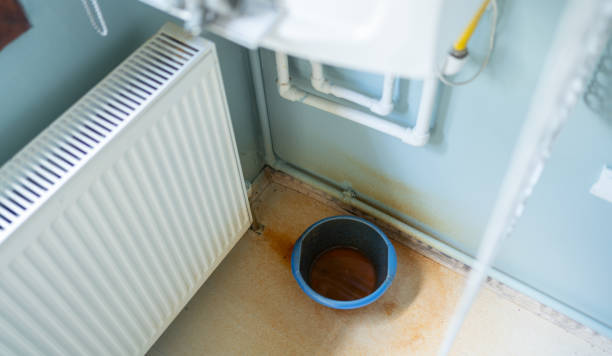 Best Professional water damage repair  in Malden, MO