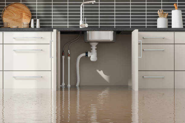 Best Water damage restoration near me  in Malden, MO